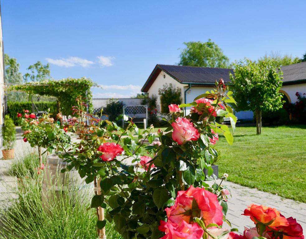 Pension Seepanorama Weiden am See Eksteriør bilde